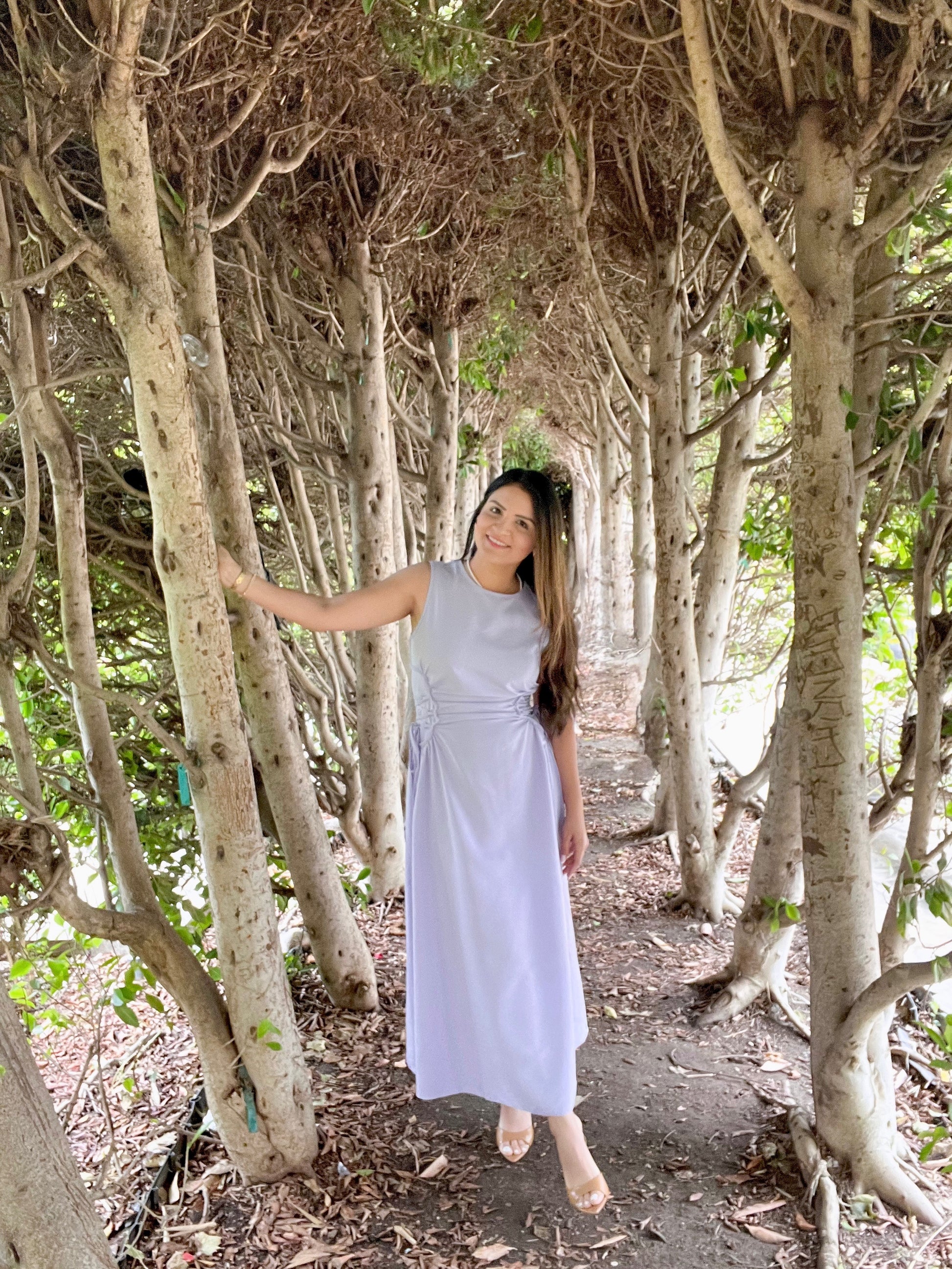 Aria Dress